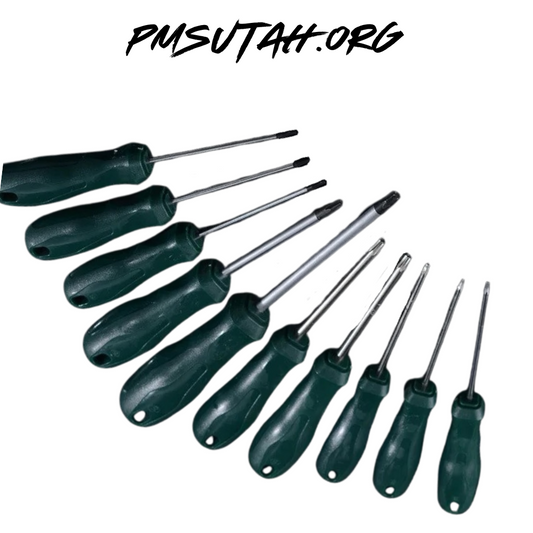 10 Pcs. Screwdriver Set Magnetic T5 to T30 Torx - PMSUTAH