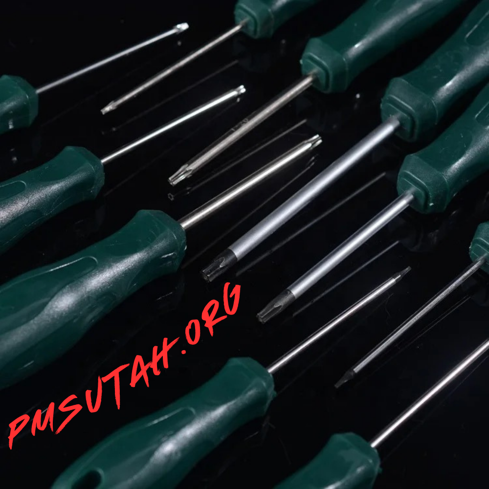 10 Pcs. Screwdriver Set Magnetic T5 to T30 Torx - PMSUTAH